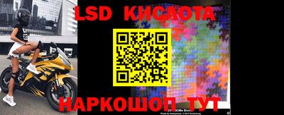 прущие грибы Краснодар