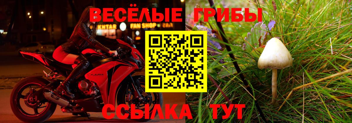 Псилоцибиновые грибы MAGIC MUSHROOMS Камышлов