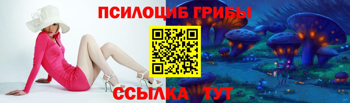 Камышлов  Галлюциногенные грибы прущие грибы  купить наркотик  Вход с VPN 