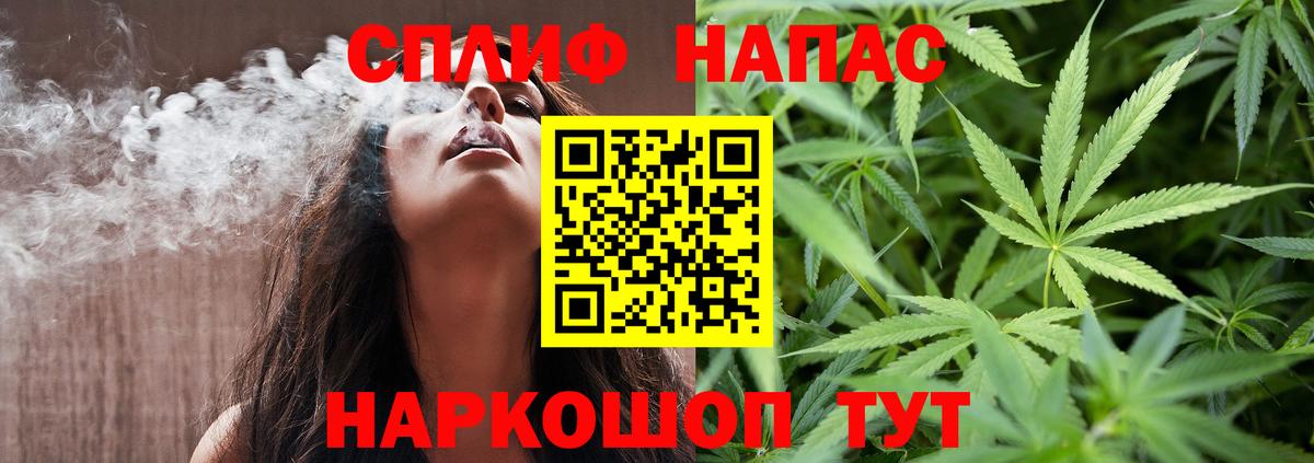 Канабис гибрид Камышлов